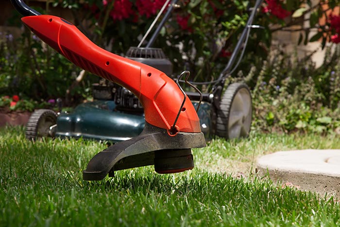 Professional Lawn Maintenance Services